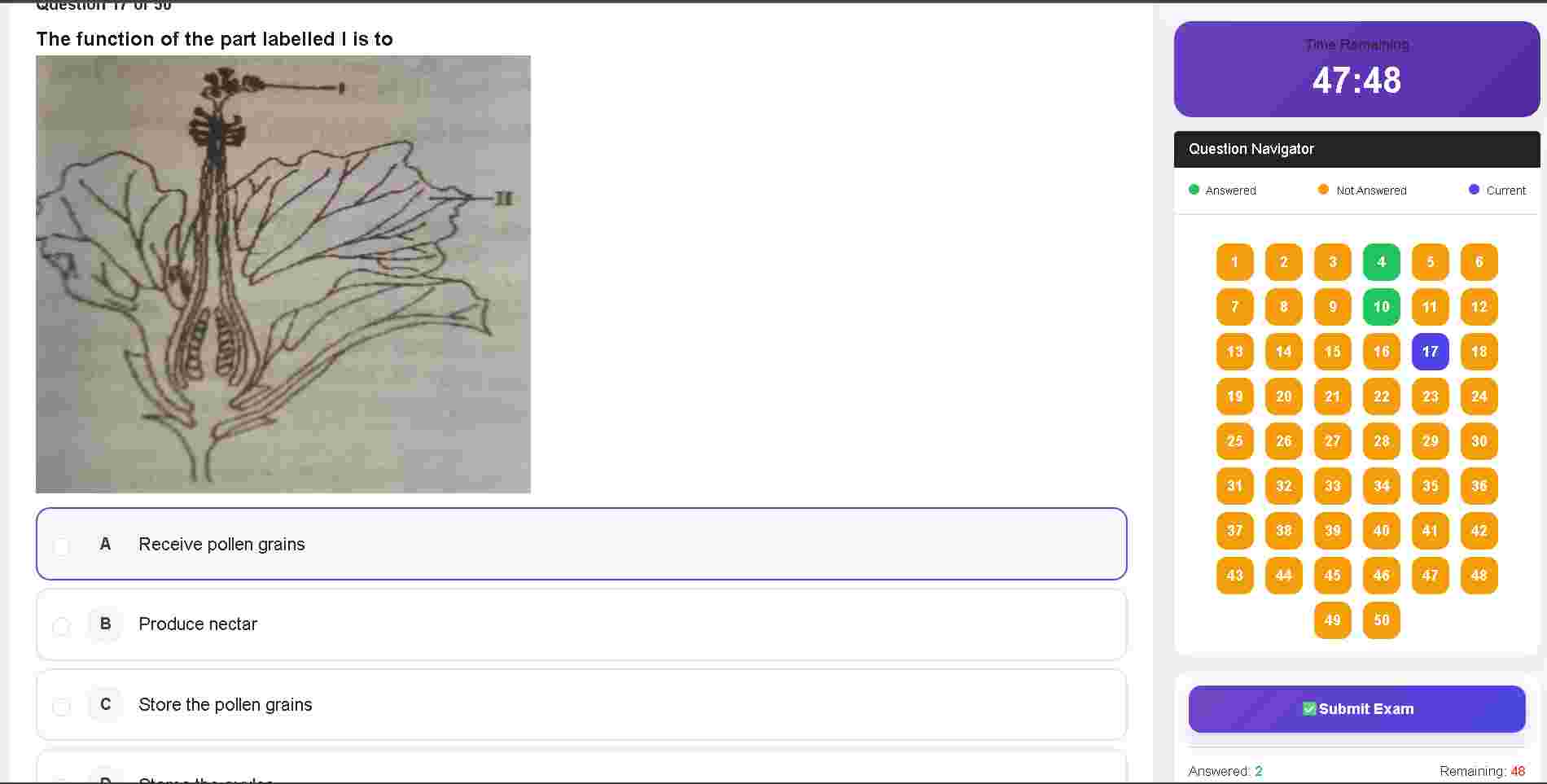 CBT Software